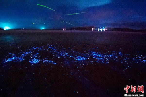 ����ƽ̶̳����ɳ̲�������������