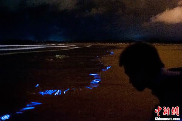 ����ƽ̶̳����ɳ̲�������������