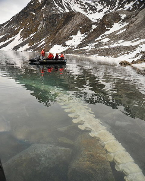 Ų��˹�߶���Ⱥ�����뾨�ⱱ���ܿ�ʣ�޹�