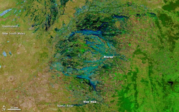 2011年11月下旬,东澳大利亚一处通常干燥的地区被洪水浸没的场景