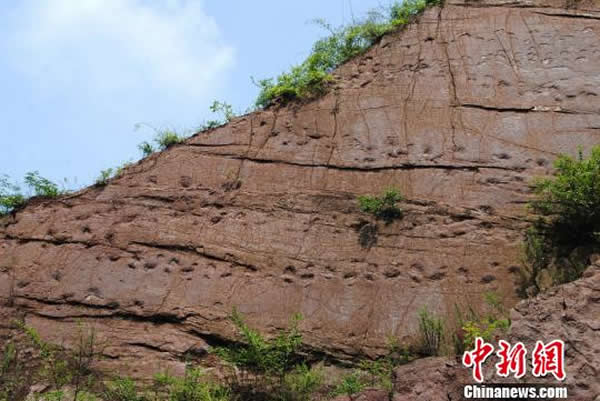 保存良好的恐龙脚印