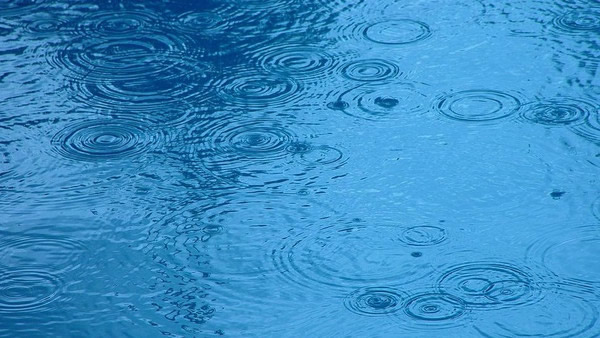 雷雨过后的清新、泥土味哪里来?