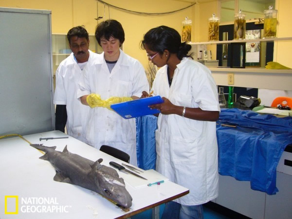 ѧұޡֽë˹ȶҵоĵͬо