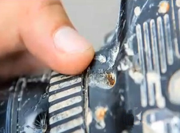 美国摄影师设备遭鳄鱼抢8个月后找回