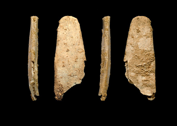 �ᰲ������������ŷ�޵�һ��ר�ŵĹ��ʹ���