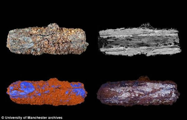 5£ӢŴѧİѧ߽ɨ΢ͼϲɨӽɨ衣ɨʾеϸߣ˵ʯƳɡ