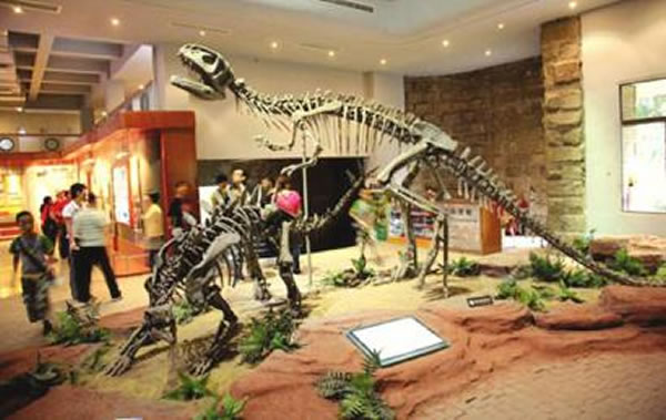 面向全球公开征集“自贡恐龙博物馆吉祥物”