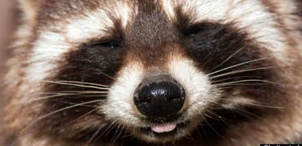 ����ͼ�����