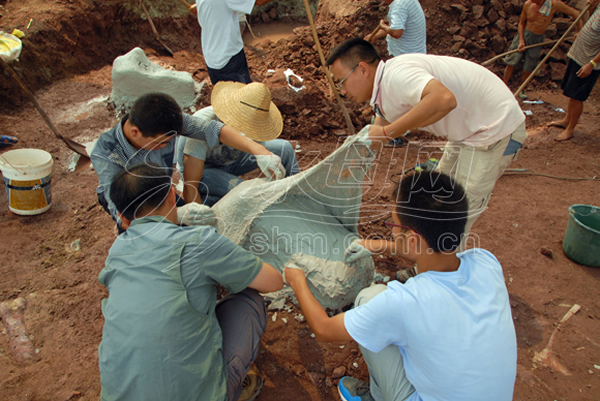 白垩纪公园:“恐龙之乡”山东莱阳