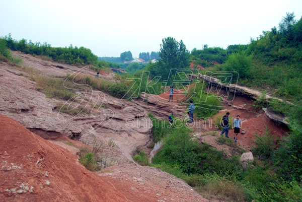 白垩纪公园:“恐龙之乡”山东莱阳