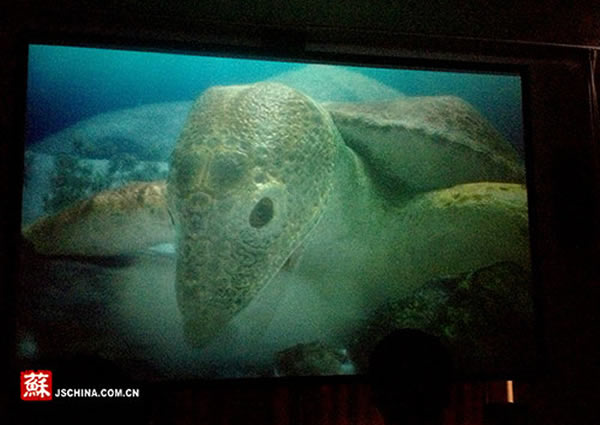 古生物3D科普电影《三叠纪海怪》将登陆南京古生物博物馆
