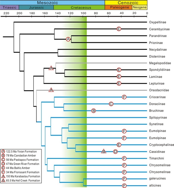 ҶܿƵݻɫָʾֲķʢ̣