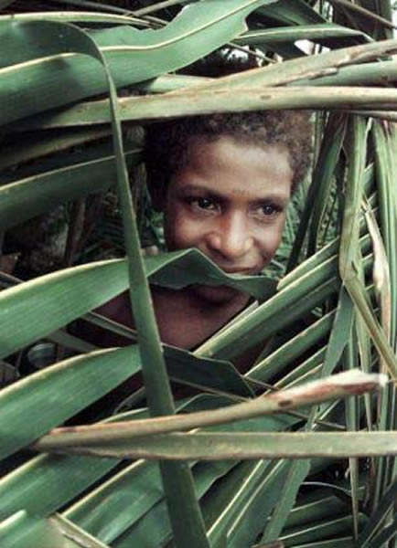 �Ͳ����¼����ǡ�ʳ�˿񡱡���Ү�ա�������ɱ��