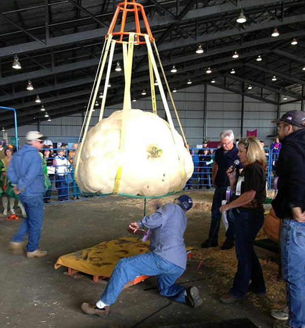 ����680��������Ϲ����и�С����Ե�¼�¼