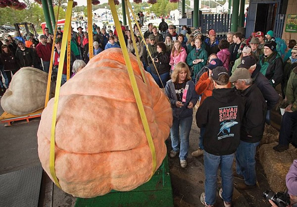 ����680��������Ϲ����и�С����Ե�¼�¼