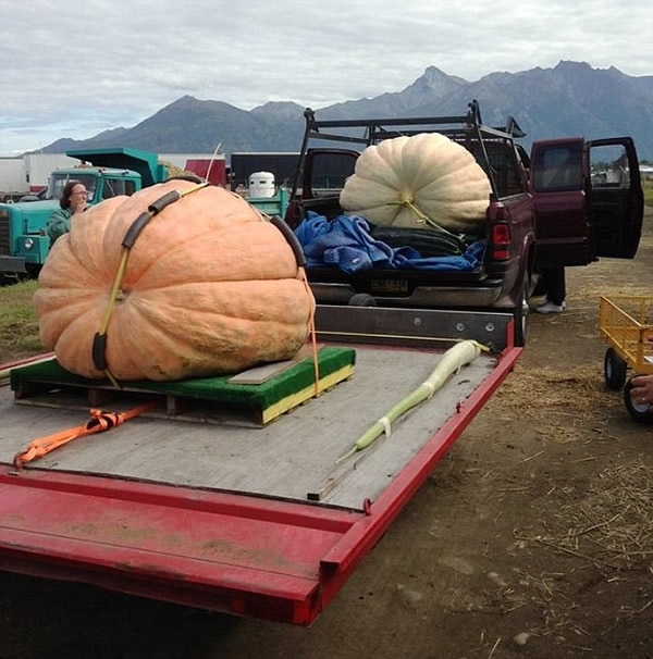 ����680��������Ϲ����и�С����Ե�¼�¼