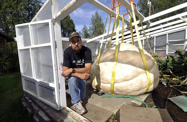 ����680��������Ϲ����и�С����Ե�¼�¼