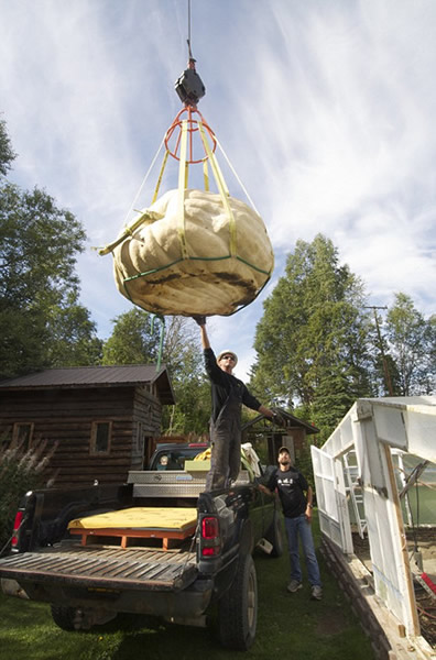 ����680��������Ϲ����и�С����Ե�¼�¼