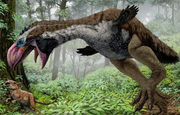 地球上最凶猛肉食掠夺者“冠恐鸟”可能是吃素的