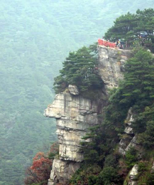 οͿԿһͷΣͱڣüۿڱ°͵