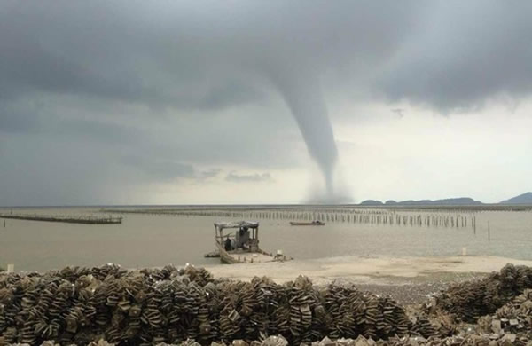 �麣����������ֺ�������������