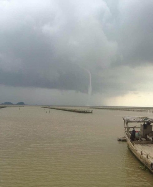 �麣����������ֺ�������������