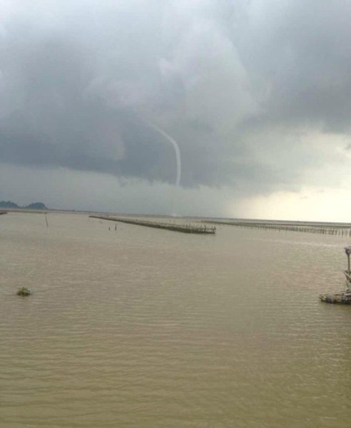 �麣����������ֺ�������������