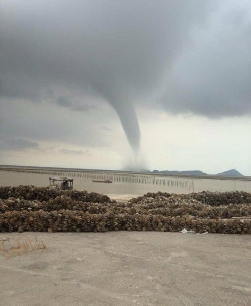 �麣����������ֺ�������������