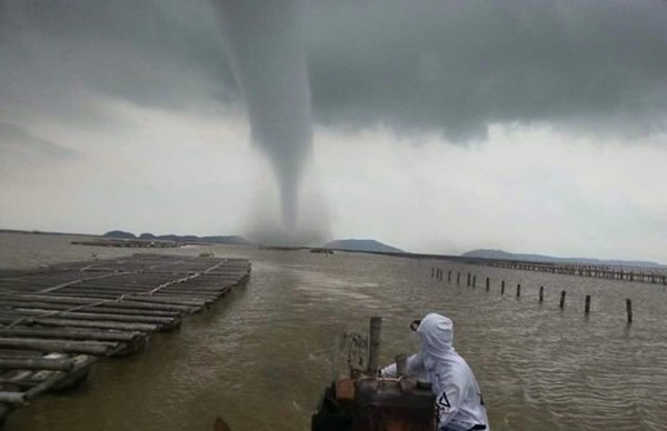 �麣����������ֺ�������������