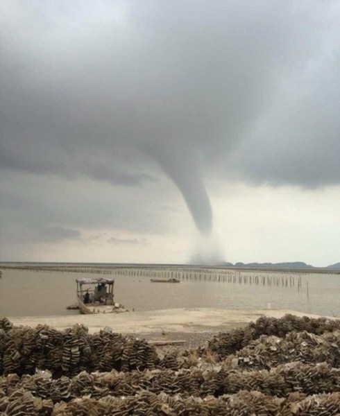 �麣����������ֺ�������������