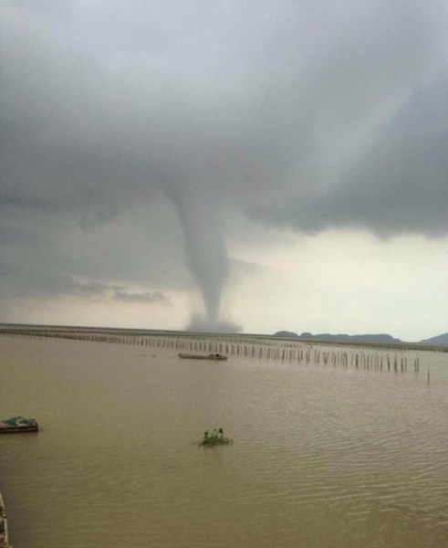 �麣����������ֺ�������������