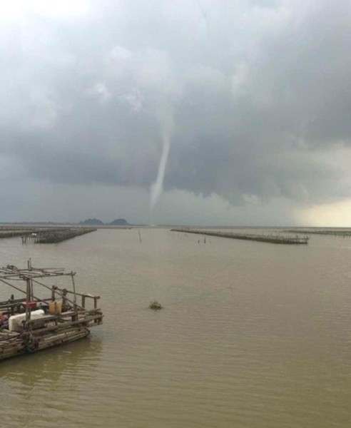 �麣����������ֺ�������������