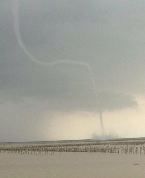 �麣����������ֺ�������������