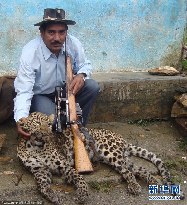 ӡ�Ƚ�ʦ��Ϊ���ˣ����Ա���40ͷ