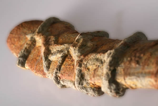 东方饕餮迹特写