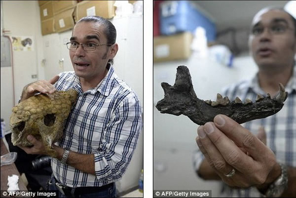 考古研究有助于石油公司勘测油田,林康指出,他和研究小组希望通过考古研究工作让人们更多地了解远古时期古人类如何与史前巨兽共同生活