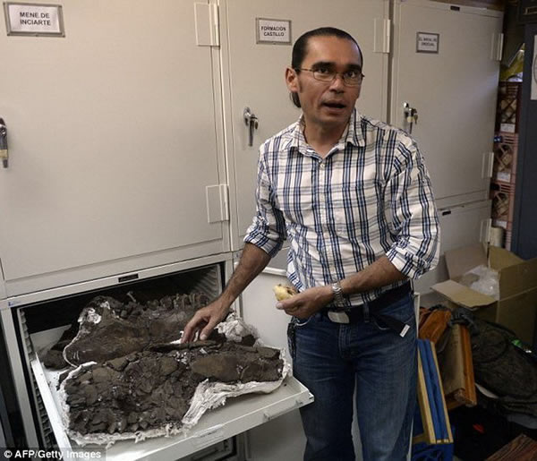 委内瑞拉具有复杂的地质构造,丰富的油田资源证实着曾存在着大量远古生命