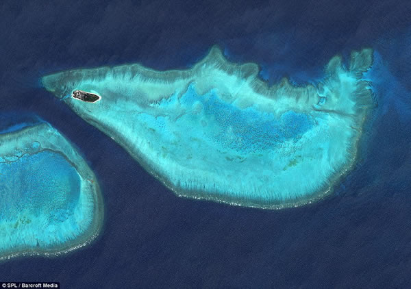 这张图片看上去颇似一条鱼,事实上它是伊克诺斯卫星拍摄的澳大利亚苍鹭岛