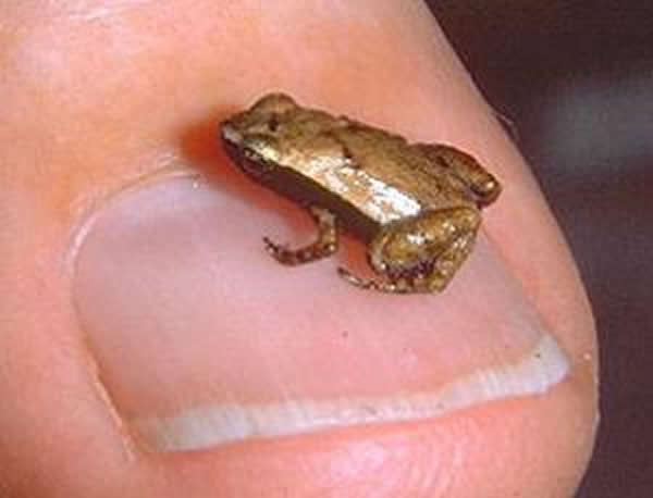 ������������С�����ࡰ�����ܡ�ͨ����ǻ��������