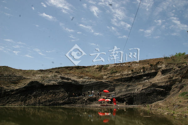 抢救性采掘现场