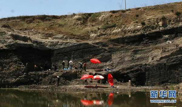 λͨеĹԳͷǻʯŷֳ