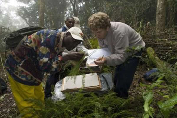 World Checklist of Selected Plant Families ���о���Ա�ռ�ֲ������