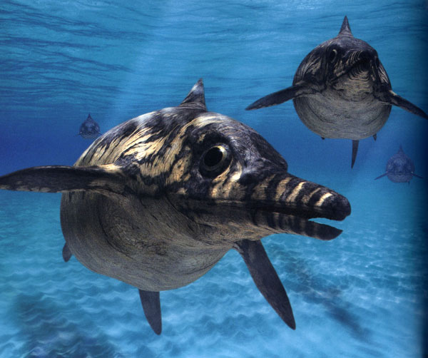 海洋中鱼龙颜色的复原遵循反隐蔽原理