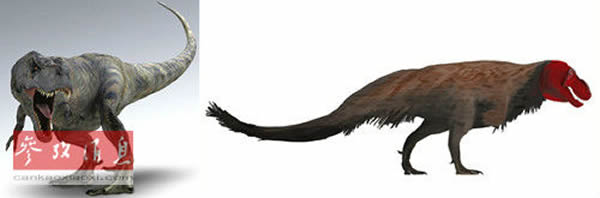 《侏罗纪公园》中的霸王龙(左),现实中长着羽毛的霸王龙(右),还会那样霸气吗?