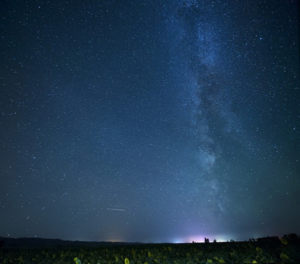 向日葵地里的银河