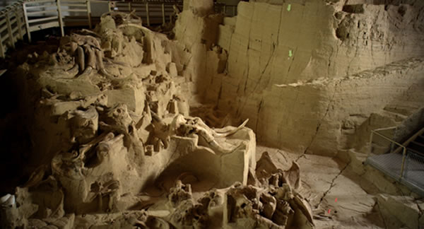 �����ϴ�����ݵ�������ʯ��ַ���ֽ񷢾�����������ʯ�ĵط��� ��Ŀ​​ǰ�Ѿ����ֳ���60 ֻ������Ļ�ʯ��