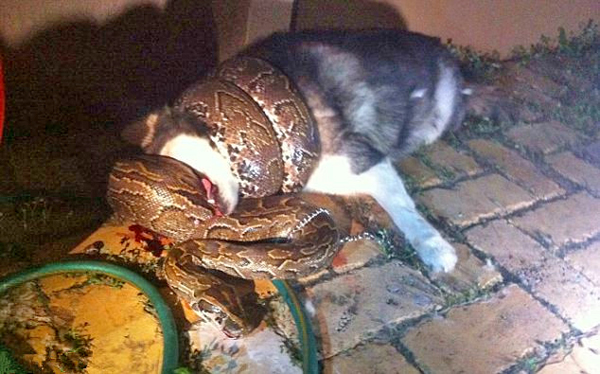 �������������3�׷�����������լ������ʿ��