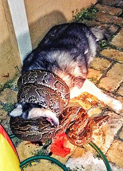 �������������3�׷�����������լ������ʿ��