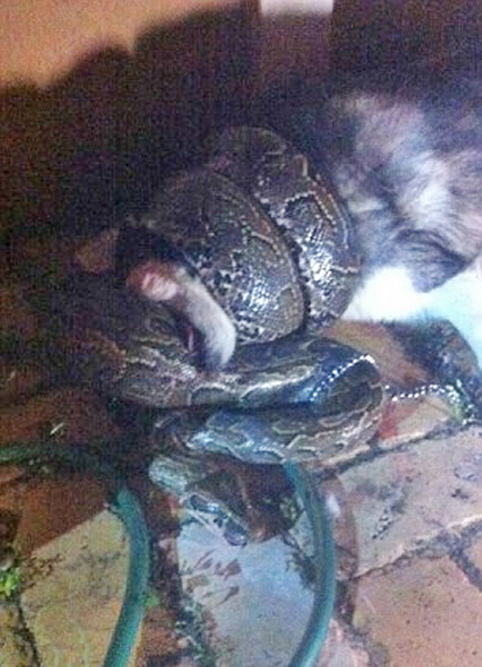 �������������3�׷�����������լ������ʿ��