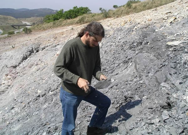 ɡ׵ϣSimon Braddyʿ